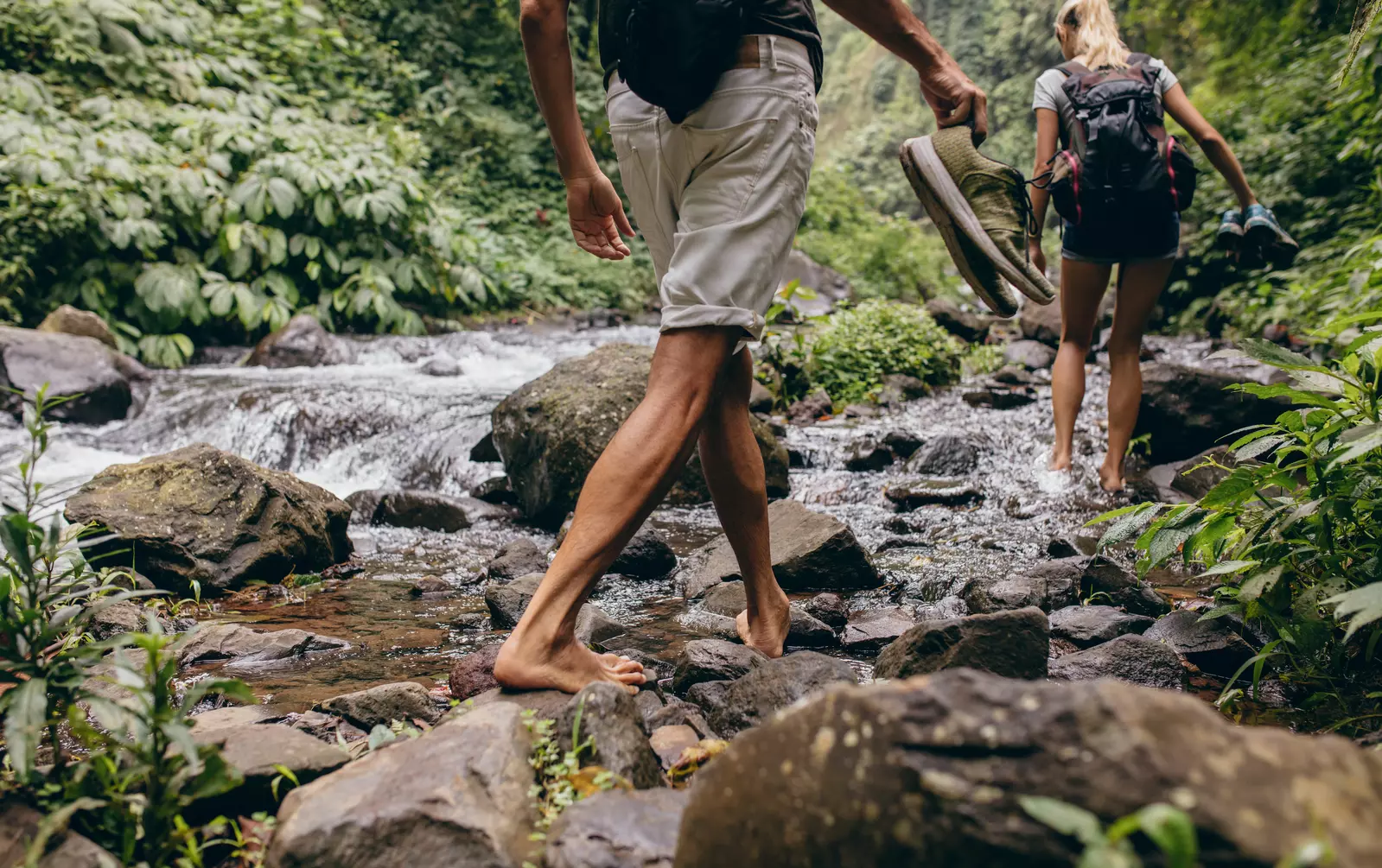 shutterstock-2224480835